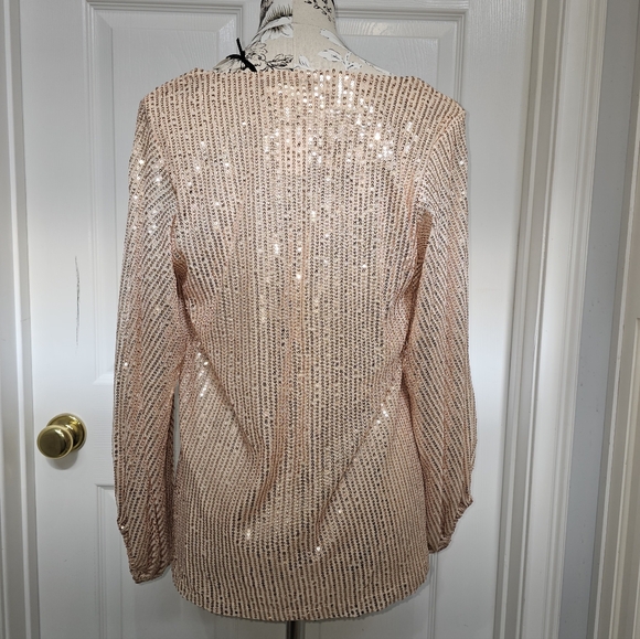 Vine & Love Sparkling Sequin V-Neck Top, Size Small, NWT - Picture 4 of 7
